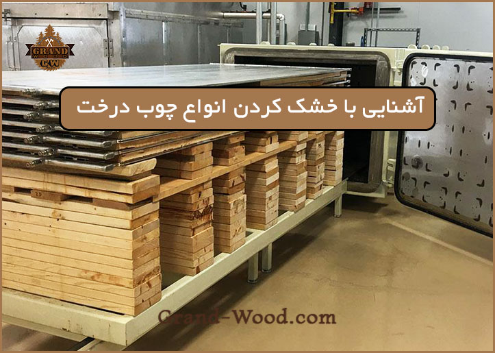 خشک کردن انواع چوب تنه درخت
